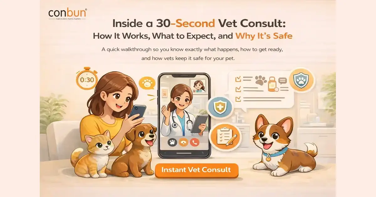 Inside a 30-Second Vet Consult: How It Works, What to Expect, and Why It's Safe